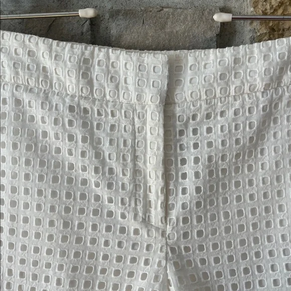 Ann Taylor White Eyelet Women Shorts Size 12 - Picture 4 of 15